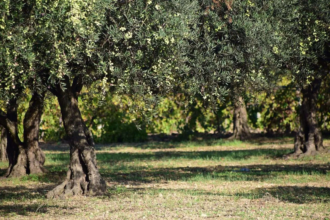 Battimandorlo Hotel Noto